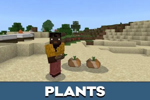 Plants from Cat Decorations Mod for Minecraft PE