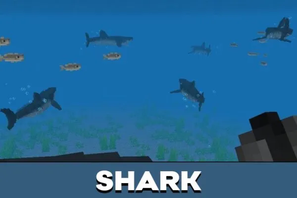 Shark from Wannabestiary Mod for Minecraft PE