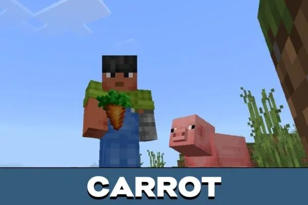 Carrot from Crops Texture Pack for Minecraft PE