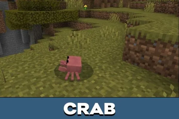 Crab from Tacos Critters Mod for Minecraft PE