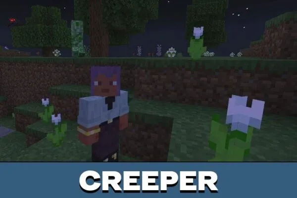 Creeper from You Can not Hide Mod for Minecraft PE