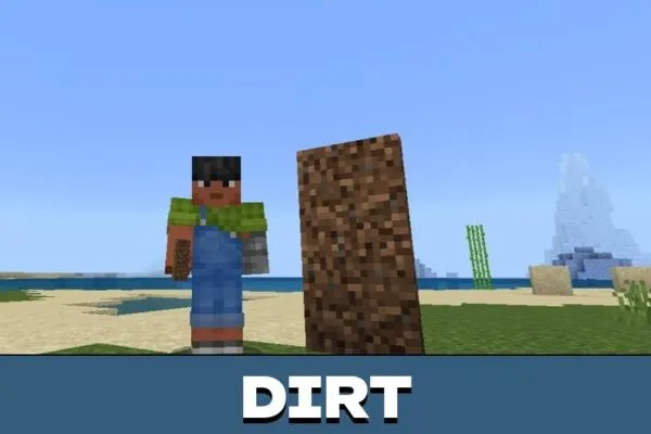 Dirt from Camouflage Door Mod for Minecraft PE