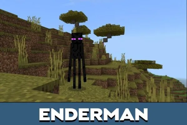 Enderman from Super Insane AI Mod for Minecraft PE