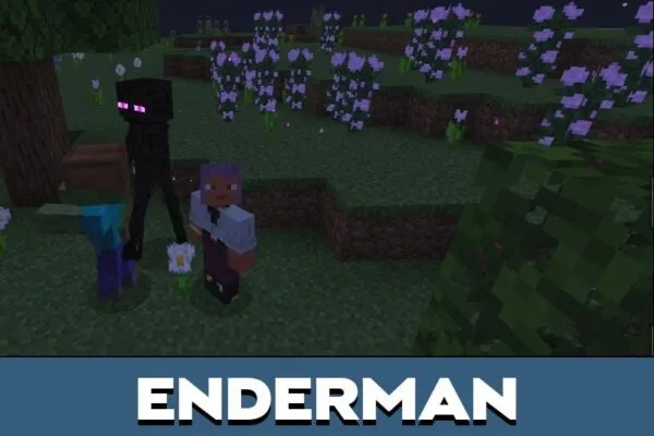 Enderman from You Can not Hide Mod for Minecraft PE