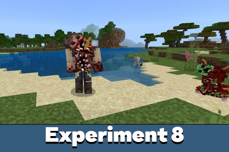 experiment 8 mod