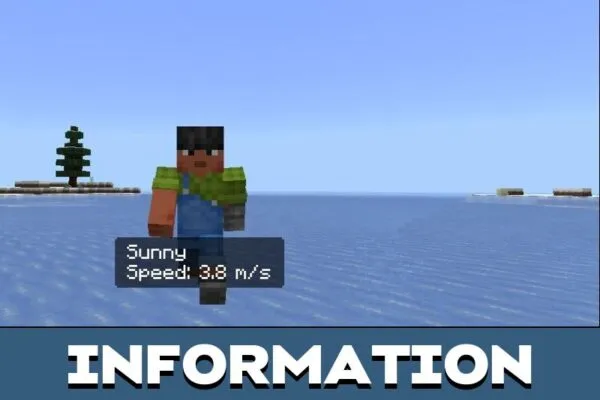 Information from Speedometer Mod for Minecraft PE