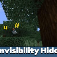 Invisibility Hider Texture Pack for Minecraft PE
