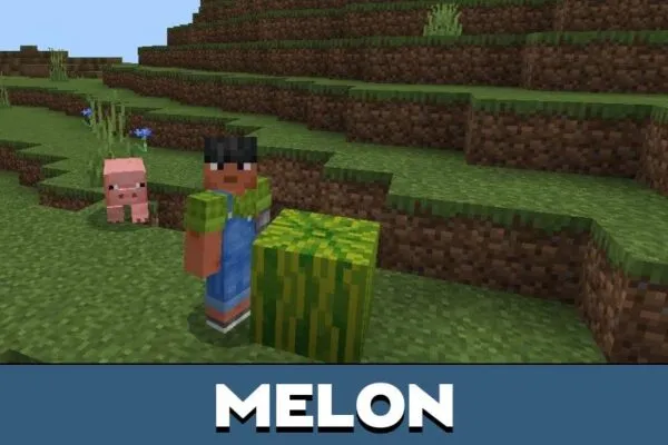 Melon from Crops Texture Pack for Minecraft PE