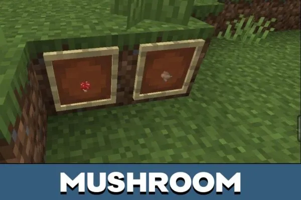 Mushroom from Crops Texture Pack for Minecraft PE