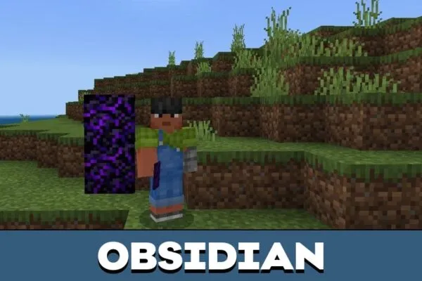 Obsidian from Camouflage Door Mod for Minecraft PE