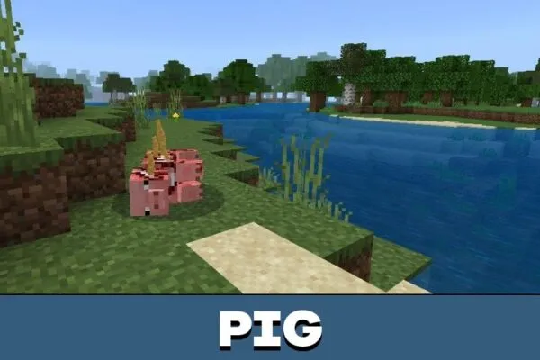 Pig from Experiment 8 Mod for Minecraft PE