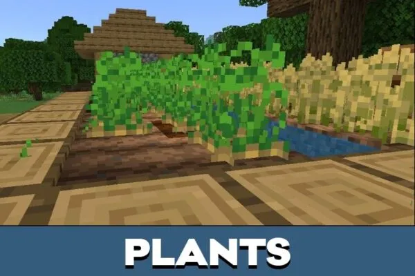Plants from Edds Easy Harvest Mod for Minecraft PE