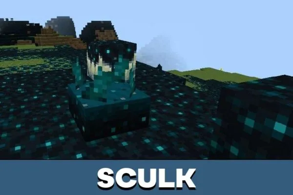 Sculk from Deep Dark Survival Map for Minecraft PE