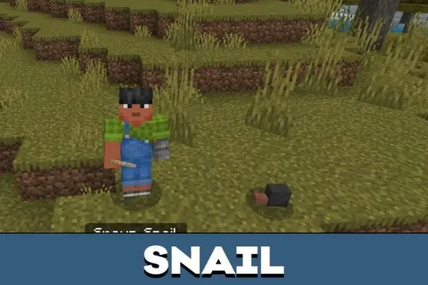 Snail from Tacos Critters Mod for Minecraft PE