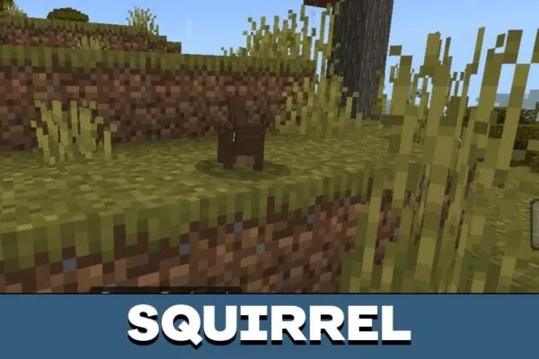 Squirrel from Tacos Critters Mod for Minecraft PE