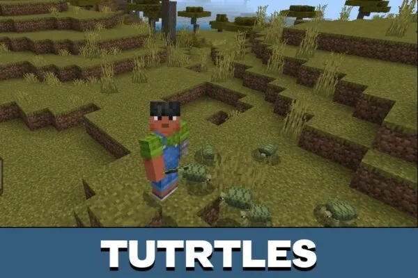 Turtles from Tacos Critters Mod for Minecraft PE