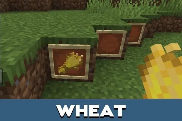 Wheat from Crops Texture Pack for Minecraft PE