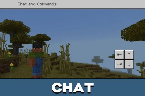 Chat from HUD Texture Pack for Minecraft PE