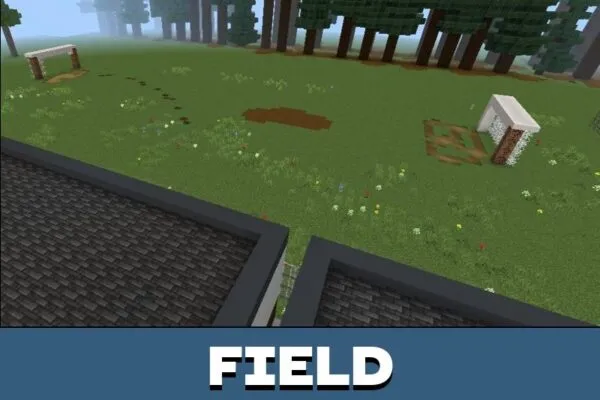 Field from British School Map for Minecraft PE