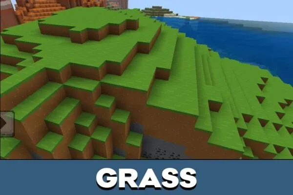 Grass from Maz Shader for Minecraft PE