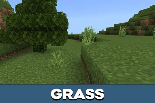 Grass from Overgrown texture pack for Minecraft PE