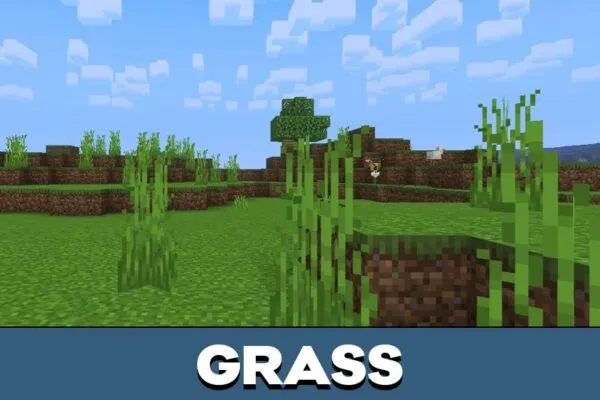 Grass from Unshaded Graphics Texture Pack for Minecraft PE