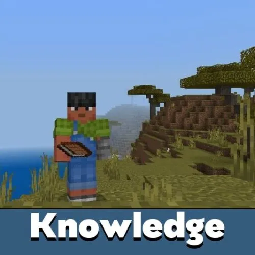 Knowledge Experience Mod for Minecraft PE