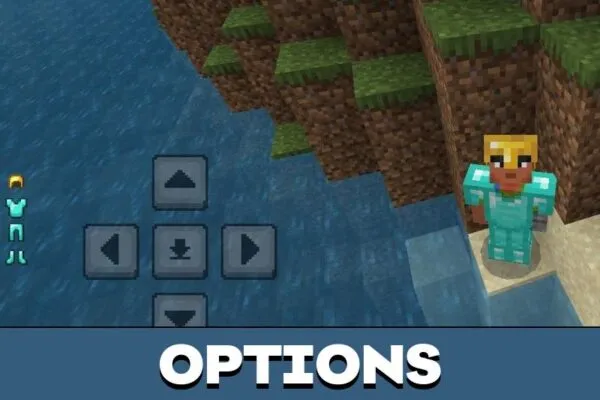 Options from Armor Viewer Mod for Minecraft PE