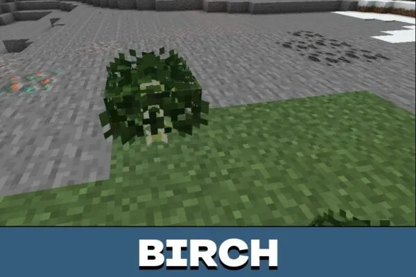 Birch from Better Saplings Texture Pack for Minecraft PE