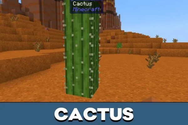 Cactus from WAIO Mod for Minecraft PE