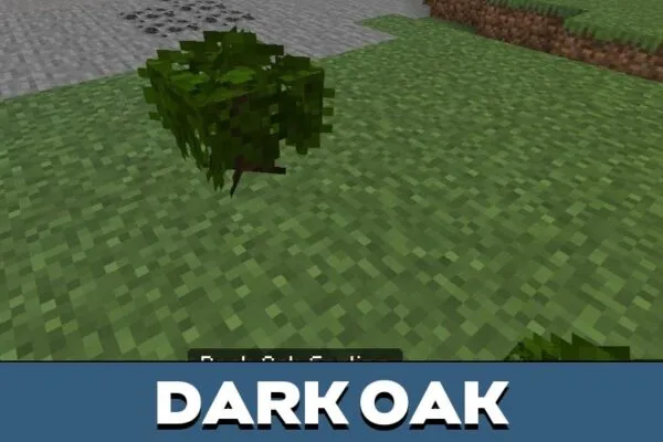 Dark Oak from Better Saplings Texture Pack for Minecraft PE