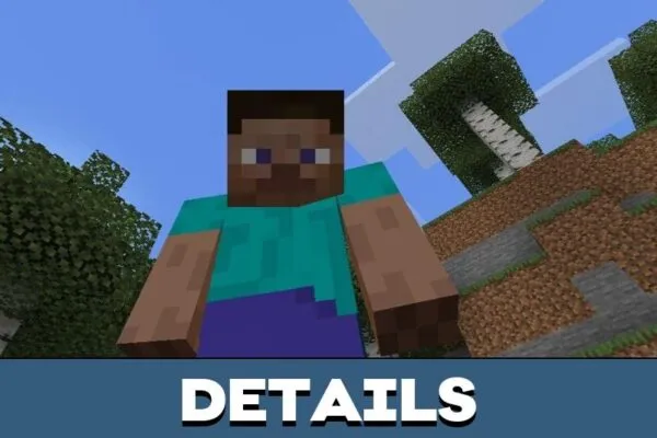 Details from 3d Player Texture Pack for Minecraft PE