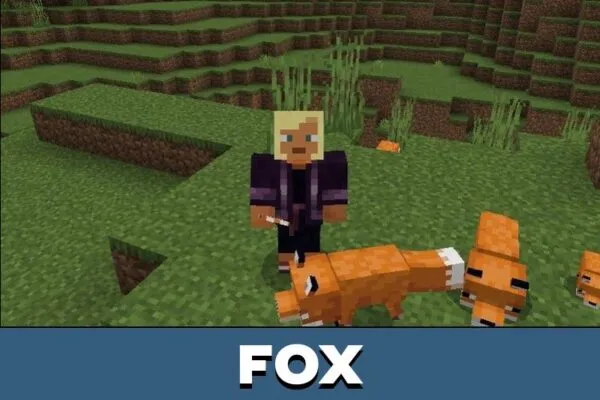 Fox from Mobs Animation Mod for Minecraft PE