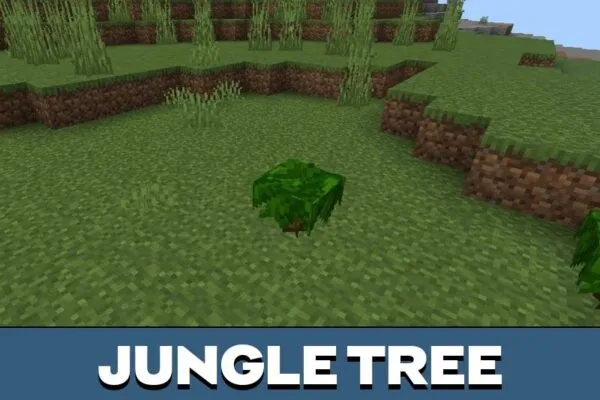 Jungle Tree from Better Saplings Texture Pack for Minecraft PE