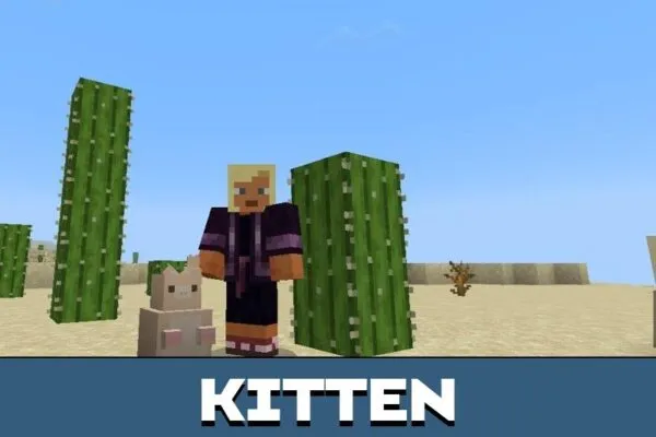 Kitten from Plushies Mod for Minecraft PE