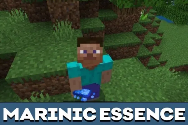 Marinic Essense from Reborne Mod for Minecraft PE