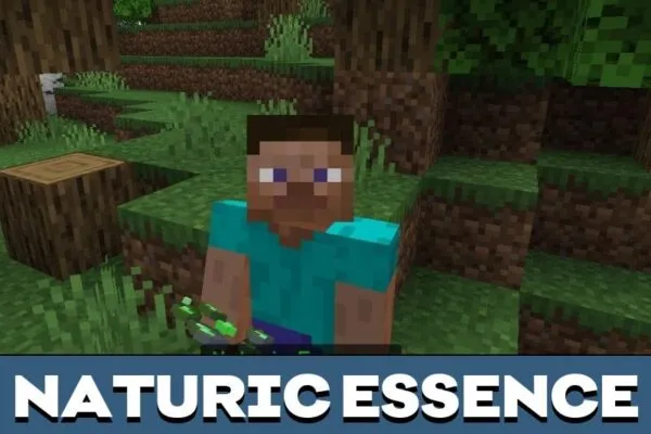 Naturic Essense from Reborne Mod for Minecraft PE