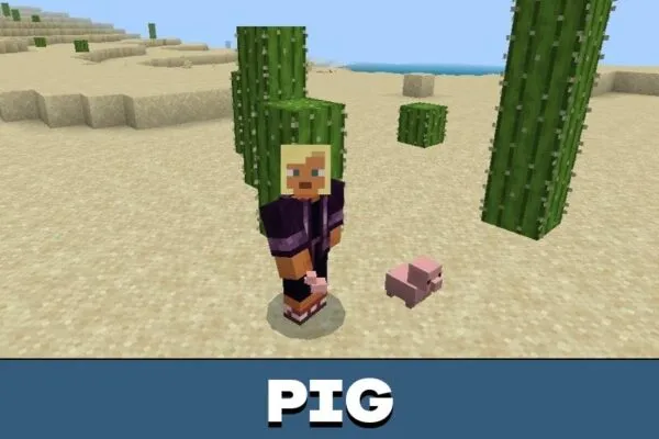 Pig from Plushies Mod for Minecraft PE