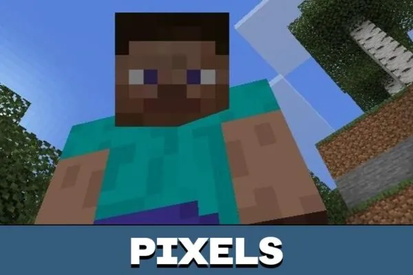 Pixels from 3d Player Texture Pack for Minecraft PE