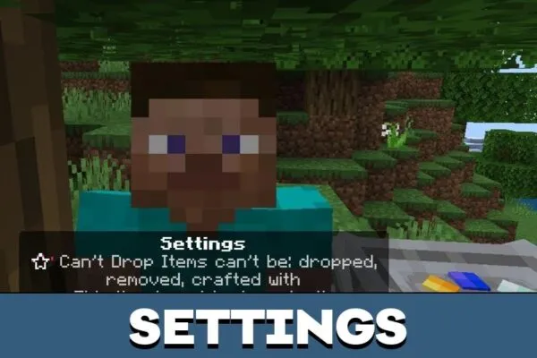 Settings from Reborne Mod for Minecraft PE