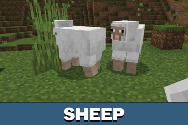 Sheep from Mobs Animation Mod for Minecraft PE