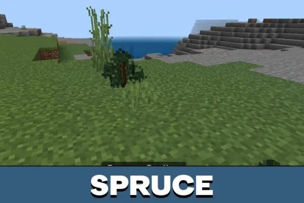 Spruce from Better Saplings Texture Pack for Minecraft PE