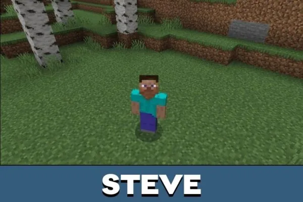 Steve from 3d Player Texture Pack for Minecraft PE