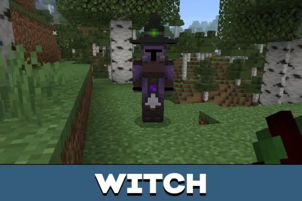 Witch from Human Era Villagers Texture Pack for Minecraft PE