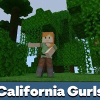 California Gurls Meme Texture Pack for Minecraft PE