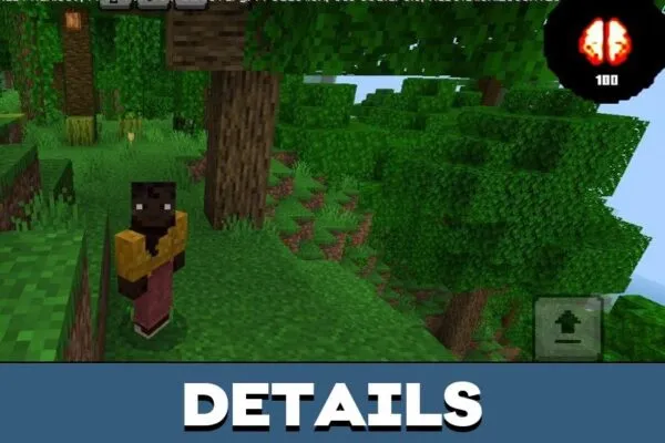 Details from Sanity Mod for Minecraft PE