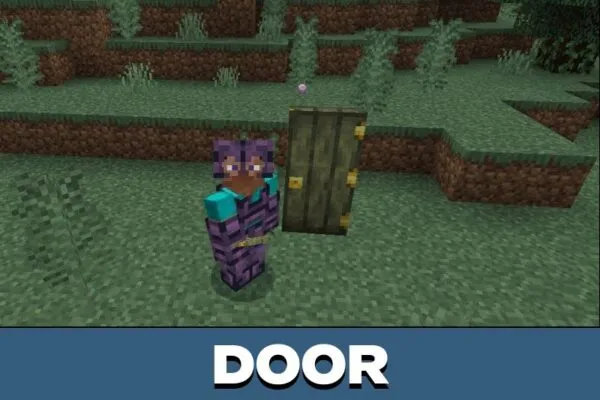 Door from Endless Void Mod for Minecraft PE