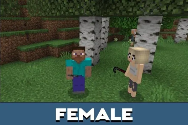 Female from City Mobs Mod for Minecraft PE