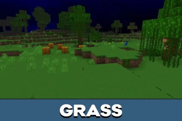 Grass from Penguin Texture Pack for Minecraft PE