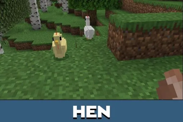 Hen from Domestic Pets Mod for Minecraft PE